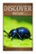 Beetles - Discover