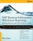 SAP Business Information Warehouse Reporting