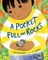 A Pocket Full of Rocks