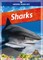 Sharks