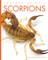 Scorpions