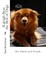Raleigh Bear, the Best of Dogs