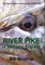 RIVER PIKE in Northern England
