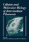 Cellular and Molecular Biology of Intermediate Filaments