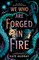 We Who Are Forged in Fire