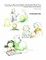 Learning to Read in English and Spanish Made Easy