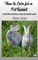 How To Care For A Pet Rabbit