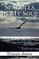 Seagulls in My Soup