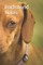 Dachshund Notes