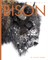 Bison