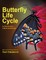 Butterfly Life Cycle