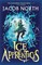 Ice Apprentices