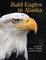 Bald Eagles in Alaska