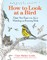 How to Look at a Bird