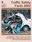 Traffic Safety Facts 2002