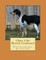 I Want A Pet Bluetick Coonhound