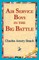 Air Service Boys in the Big Battle
