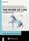 The River of Life: Sustainability in a Native American Context