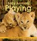 Baby Animals Playing