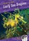 Leafy Sea Dragons