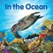 In the Ocean
