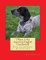 I Want A Pet American English Coonhound
