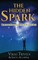 The Hidden Spark
