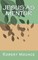 Jesus as Mentor