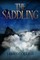 The Saddling