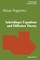 SchrÃ¶dinger Equations and Diffusion Theory