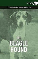 The Beagle Hound - A Complete Anthology of the Dog - The Beagle Hound - A Complete Anthology of the Dog -