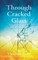 Through Cracked Glass
