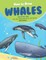 How to Draw Whales Step-by-Step Guide