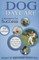 All about Dog Daycare