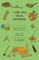 Camp And Trail Methods - Interesting Information For All Lovers Of Nature. What To Take And What To Do