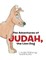 The Adventures of Judah, the Lion Dog