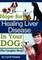 Hope For Healing Liver Disease In Your Dog