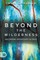 Beyond the Wilderness