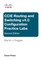 CCIE Routing and Switching v4.0 Configuration Practice Labs (ebook)