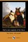 Myths and Legends of the Sioux (Dodo Press)