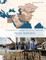 Comprehensive Oversight Plan for Southwest Asia