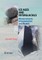 Ice Ages and Interglacials