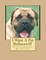 I Want A Pet Bullmastiff