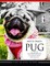 SKETCH DESIGN PUG LIFE Coloring Book for Adults