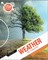 Weather or Climate?