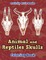 Animal and Reptiles Skulls Coloring Book