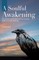 A Soulful Awakening