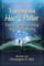 Transmedia Harry Potter