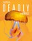 Super-Deadly Animals