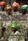 Yoruba Women, Work, and Social Change